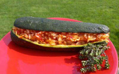 Courgettes farcies au substitut de riz