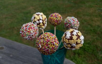 Pop Cakes variés